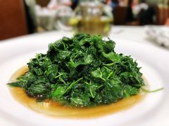 -蝶园·装修中(BFC外滩金融中心店)