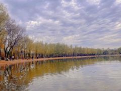 -森林公园(尖草坪区)