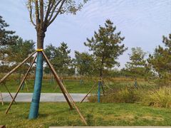 -汉长安城未央宫国家考古遗址公园