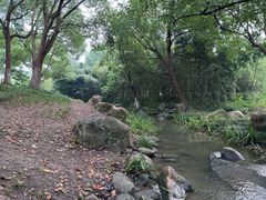 -新洲生态园