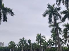 -南宁南湖公园
