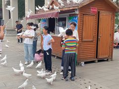 -天津妈祖文化园