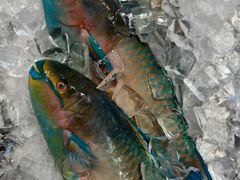 -AEON永旺(东方宝泰店)