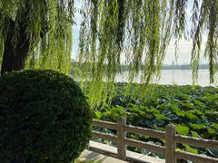 -济南大明湖景区