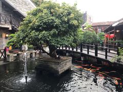 -猪肉婆私房菜(容桂总店)