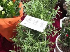 -秦美花卉(天朗·莱茵小城2期店)