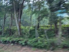 -云顶高原