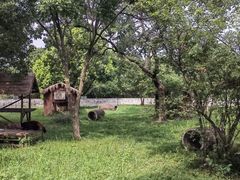-合肥野生动物园
