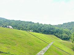 -午潮山国家森林公园