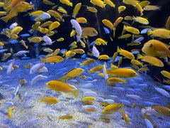 -成都浩海立方海洋公园