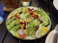 田园时蔬沙拉-布拉格餐厅· 中欧捷克菜(全国首店)