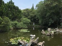 -叶家花园