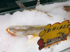 -渔娘渔家丹东海鲜(东直门店)