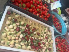 -南坛综合农贸市场