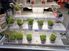 -盒马鲜生(莱蒙都会店)
