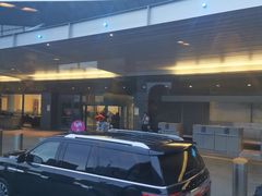 -约翰·菲茨杰拉德·肯尼迪国际机场