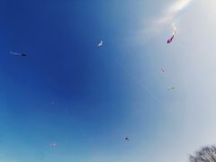 -杭州城北体育公园