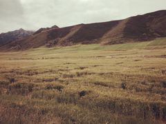 -扁都口生态休闲旅游区