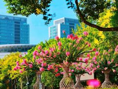 -杭州城北体育公园