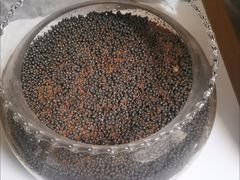 -中环花鸟鱼虫市场
