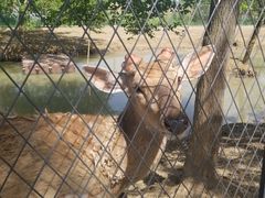 -泗洪洪泽湖湿地景区