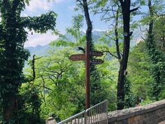 -泰山风景名胜区