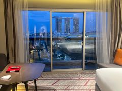 -新加坡瑞士史丹福酒店