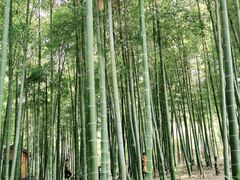 -龙寺生态园