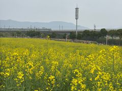 -光明小镇欢乐田园