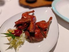 茶皇烟熏鸽-伯衡55·吉品轩(乌鲁木齐南路店)