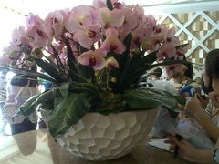 android_upload_pic-堂会·KTV·自助餐·团建聚会(天河店)