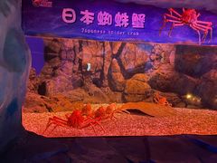 -珠海长隆海洋王国