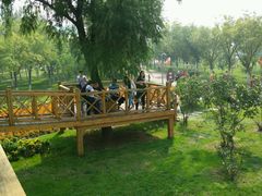 -武清南湖绿博园