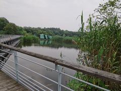 -西湖风景区-江洋畈生态公园