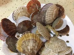 -港畔赶海蒸汽海鲜烧烤自助(仙螺岛店)