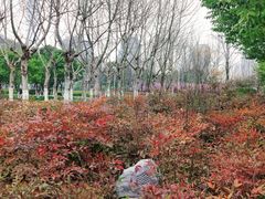 -白塘生态植物园