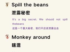 -牛学教育雅思托福PTE·小语种培训(小寨校区)