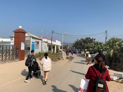 -光明小镇欢乐田园