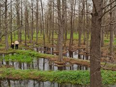-广富林郊野公园