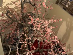 -意满花千醉(金茂览秀城店)