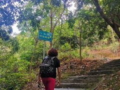 -风云岭森林公园