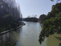 -江心屿景区