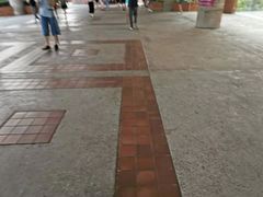-香港理工大学