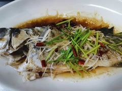 -福来齐·鲁菜海鲜·渔家菜(朝阳街分店)