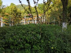 -杭州少年儿童公园