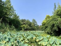 -桂林独秀峰王城景区