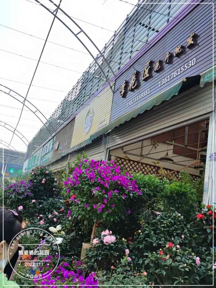 熊婆婆的花园-"位置在龙头寺附近,可能公交地铁不太方便,.