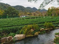 -中国茶叶博物馆(双峰馆区)