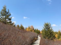 -苏木山森林公园