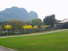 -南宁花花大世界景区